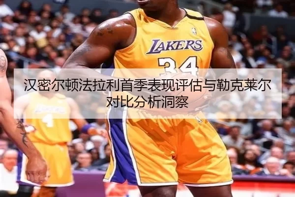 han-mi-er-dun-fa-la-li-shou-ji-biao-xian-ping-gu-yu-lei-ke-lai-er-dui-bi-fen-xi-dong-cha-3-903.jpg