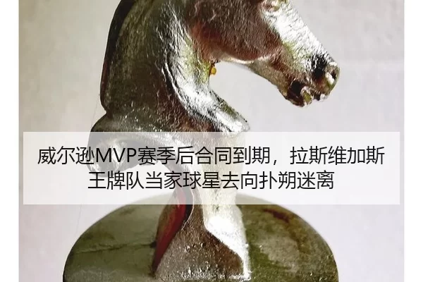 wei-er-xun-sai-ji-hou-he-tong-dao-qi-la-si-wei-jia-si-wang-pai-dui-dang-jia-qiu-xing-qu-xiang-pu-shuo-mi-li-3-243.jpg