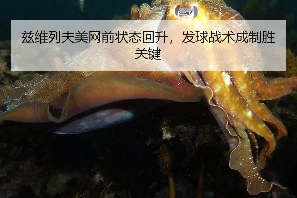 兹维列夫美网前状态回升，发球战术成制胜关键