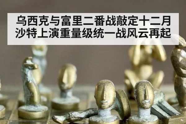 乌西克与富里二番战敲定十二月沙特上演重量级统一战风云再起