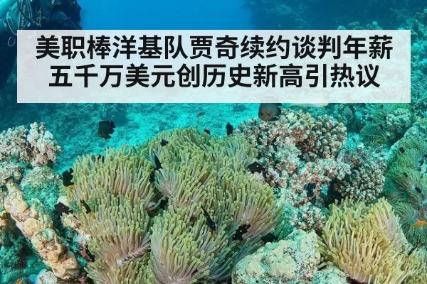 美职棒洋基队贾奇续约谈判年薪五千万美元创历史新高引热议