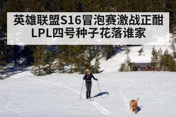 英雄联盟S16冒泡赛激战正酣LPL四号种子花落谁家